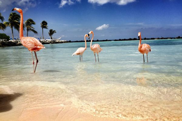 IMG_4106-01 IMG_4106-01